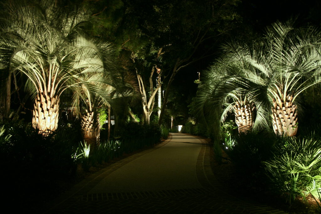 Palm Lighting